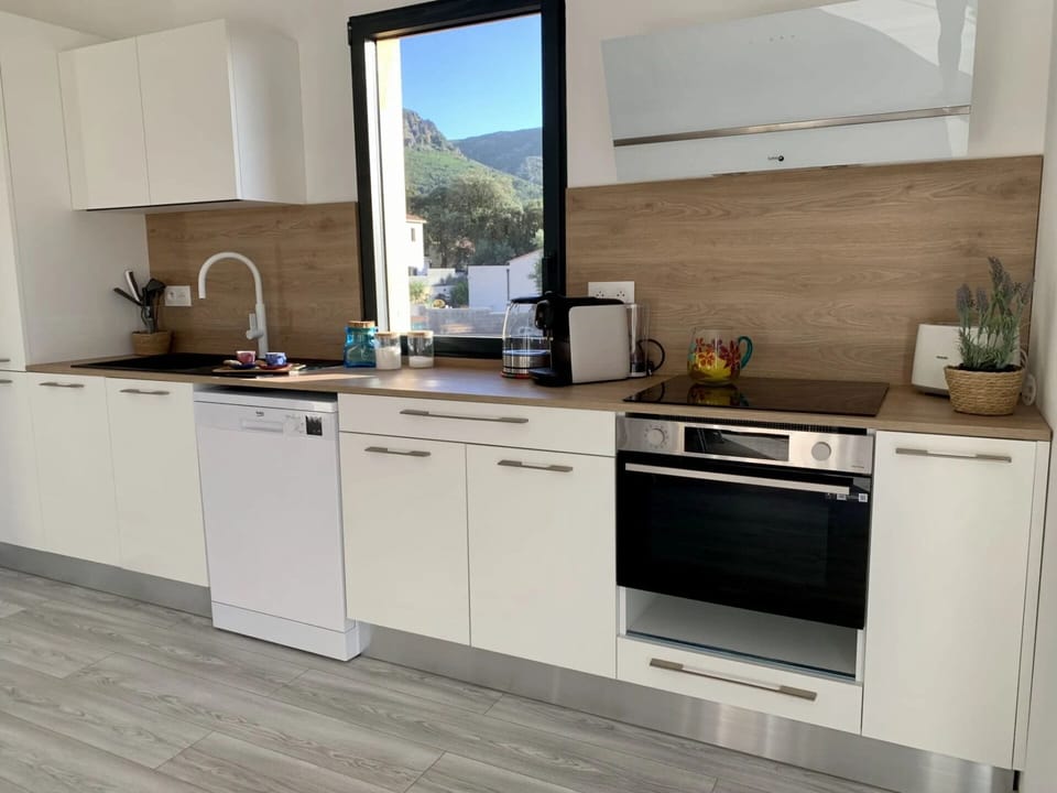 Apartment, 2 Bedrooms, Patio, Sea View | Private kitchen | Fridge, microwave, oven, stovetop
