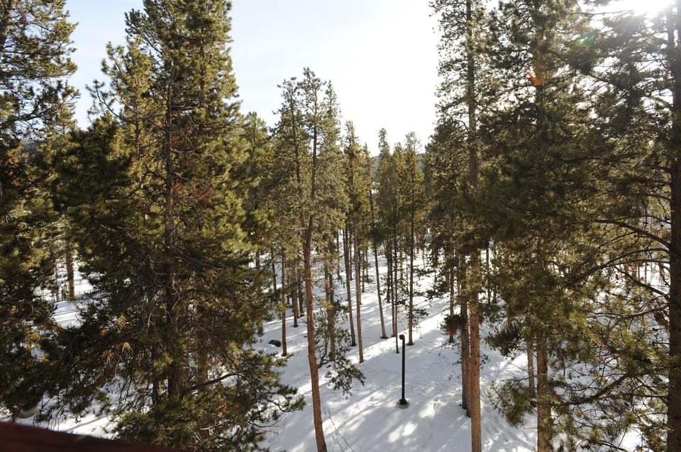 This property is surrounded in beautiful forests which make it a very picturesque place to stay!