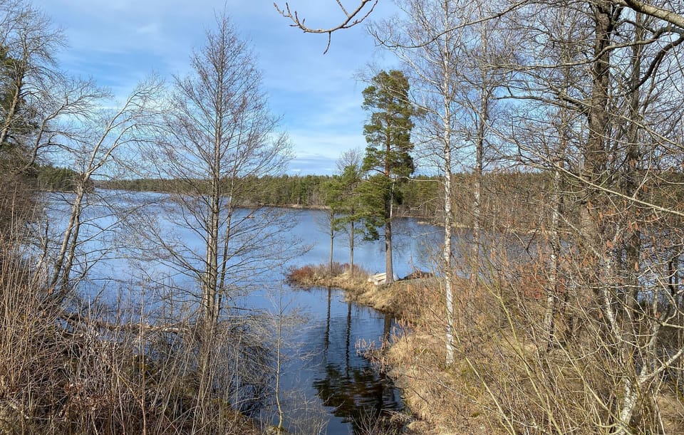 view-from-room