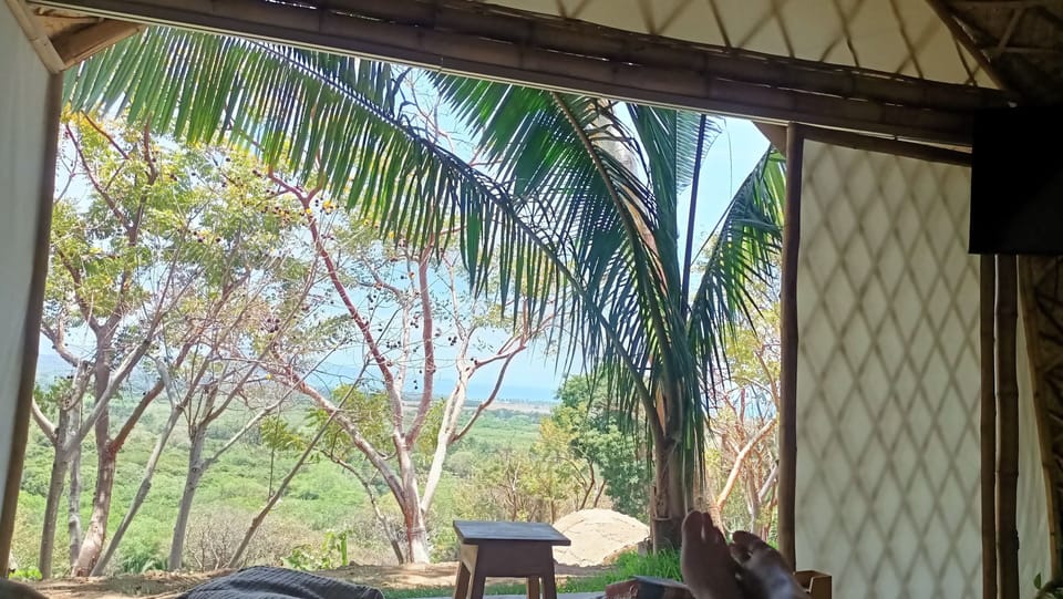 View from room