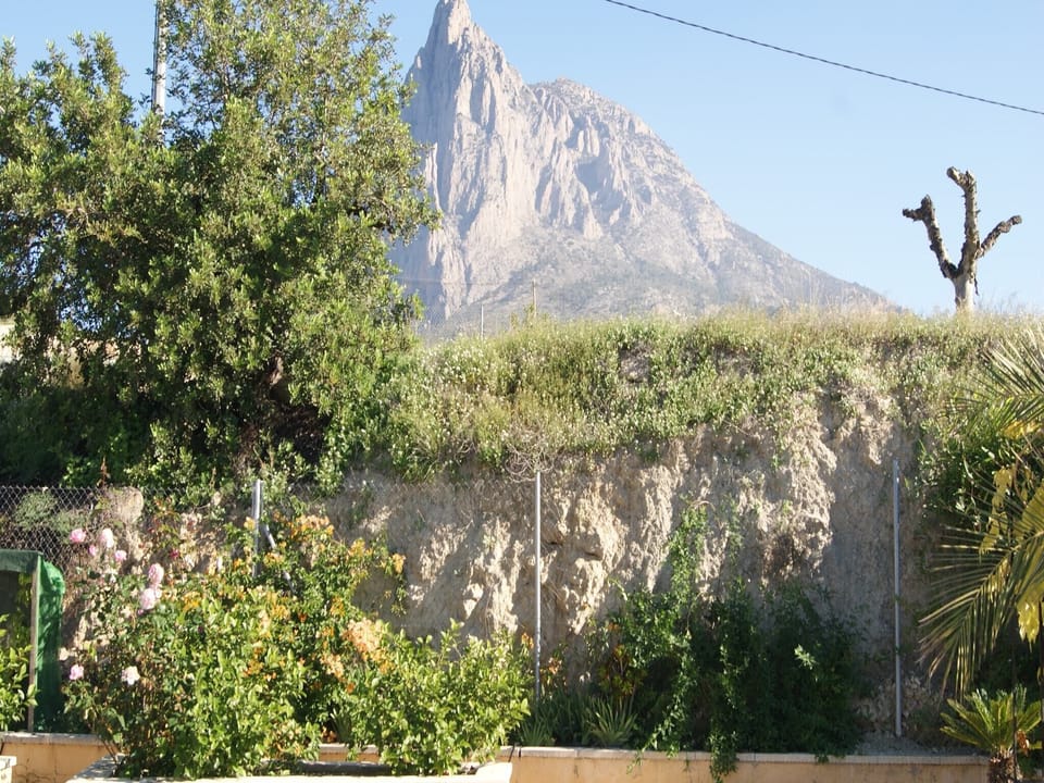 View from Holiday Home [summer]