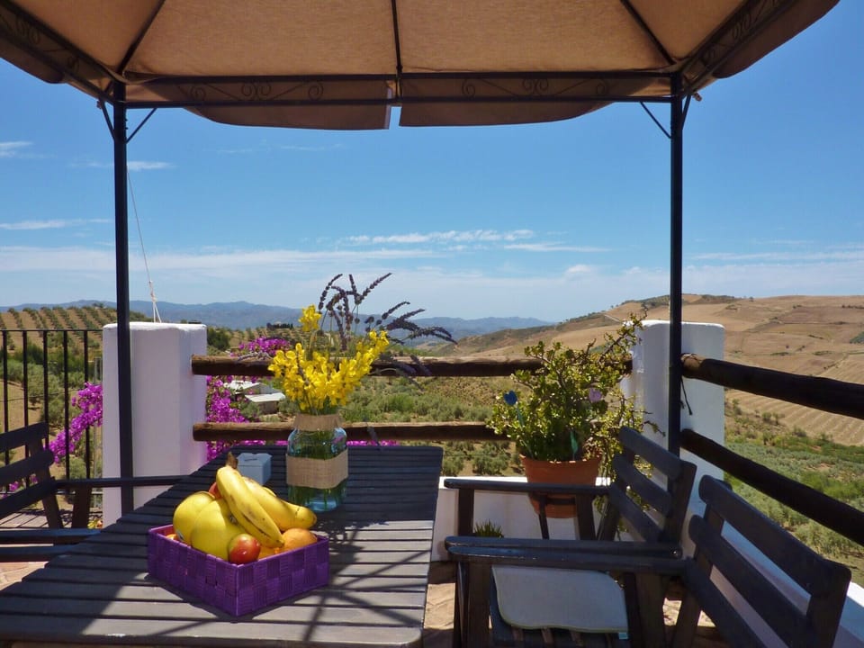 Patio / Balcony