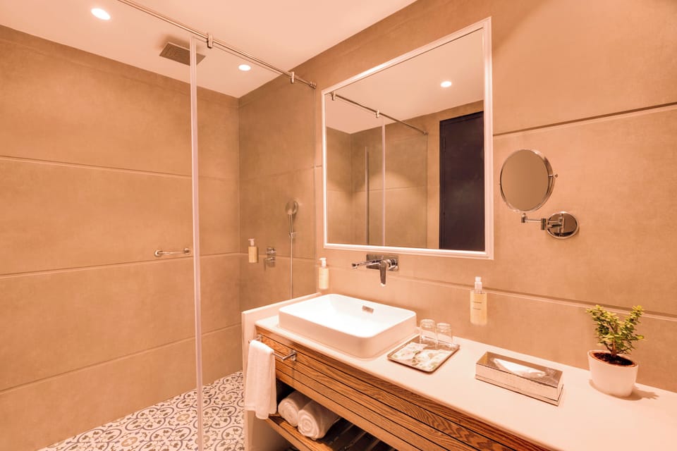 Deluxe Double Room | Bathroom | Shower