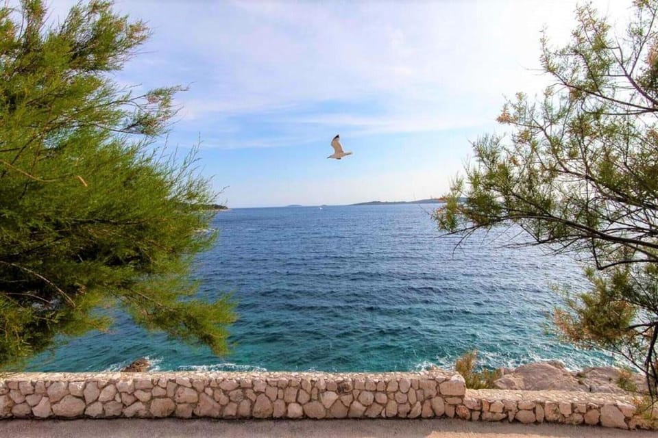 Surroundings [summer] (1-5 km)