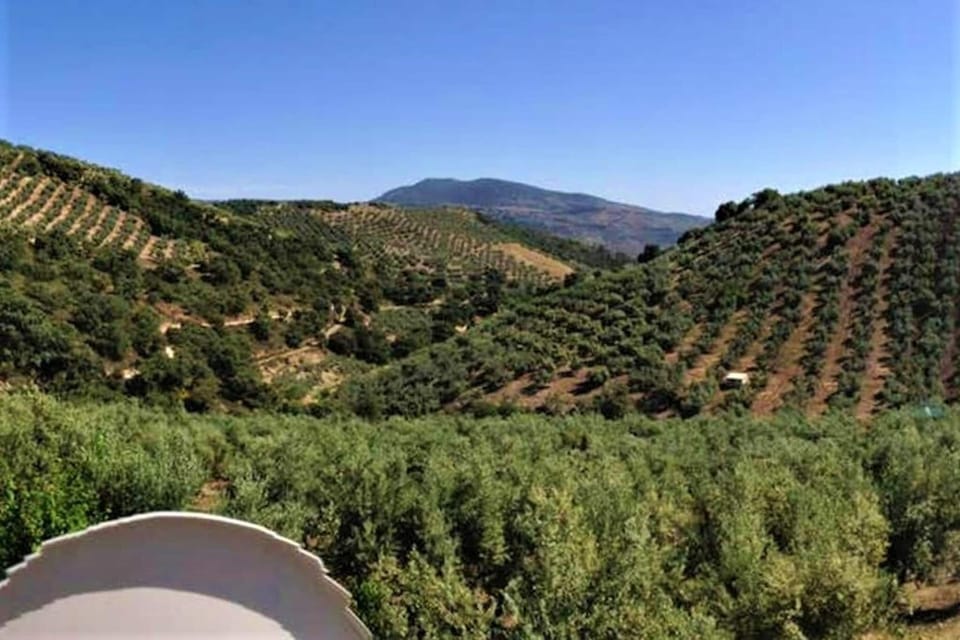 View from Holiday Home [summer]