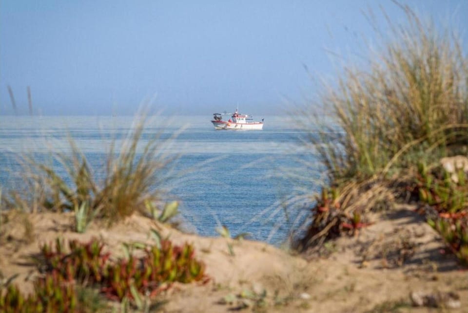 Surroundings [summer] (1-5 km)