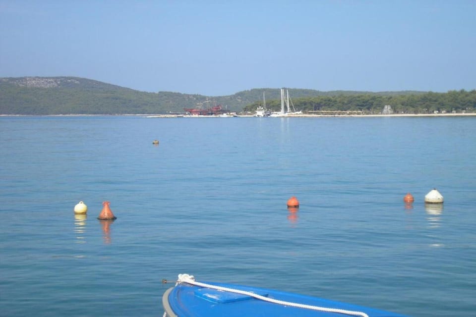 Immediate Surroundings [summer] (<1 km)