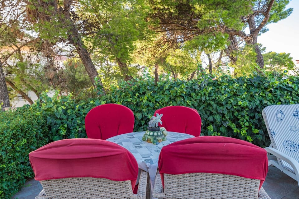 terrace