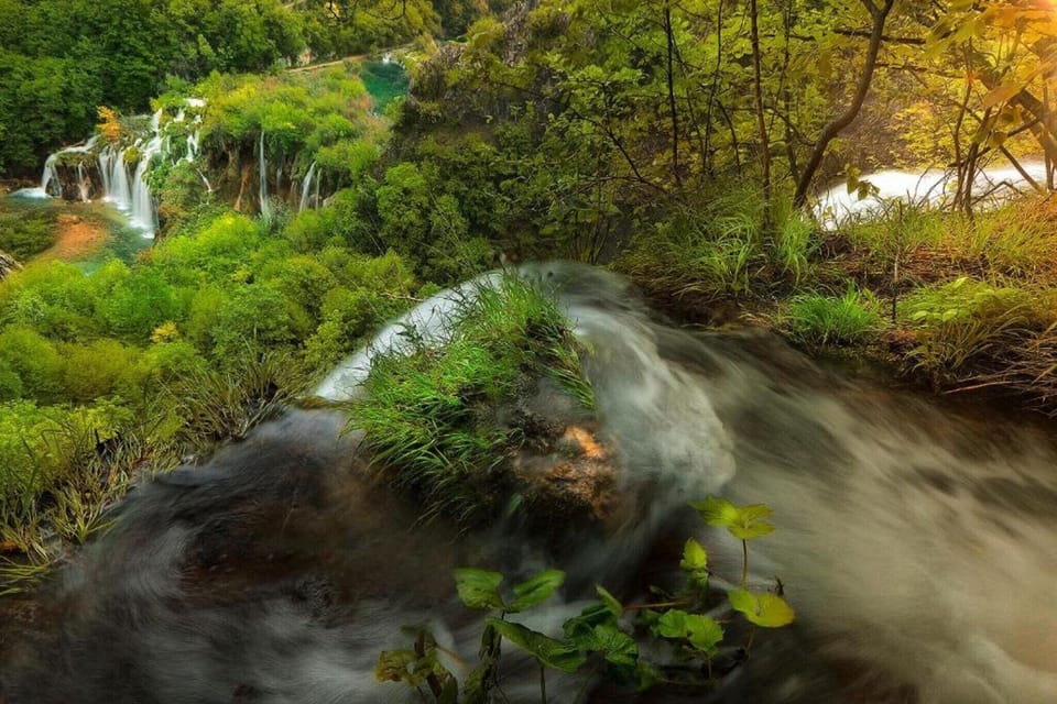 Region [summer] (>5 km)