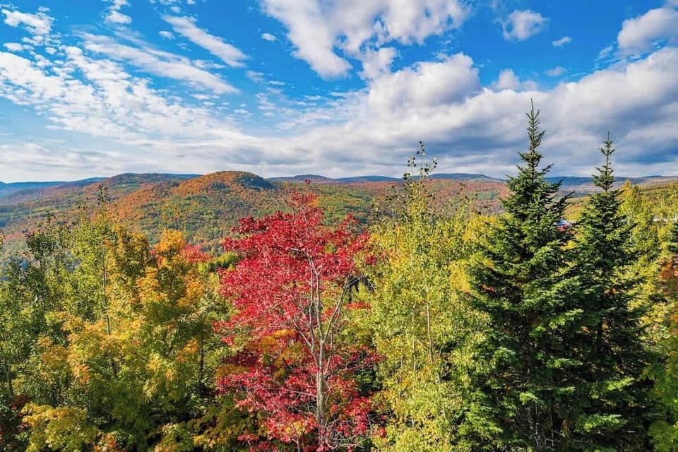 Couleurs d'automne / Fall colors