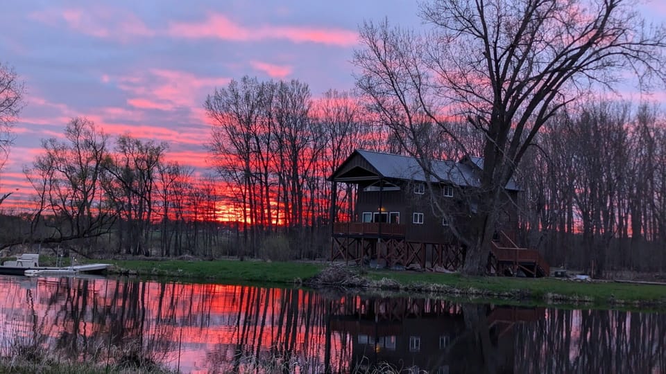 Treehouse on the Point: cozy, scenic and packed with amenities! Unwind in the hot tub with lake views, take a dip in the cold tub, and grill on the Blackstone - sleeps 6!