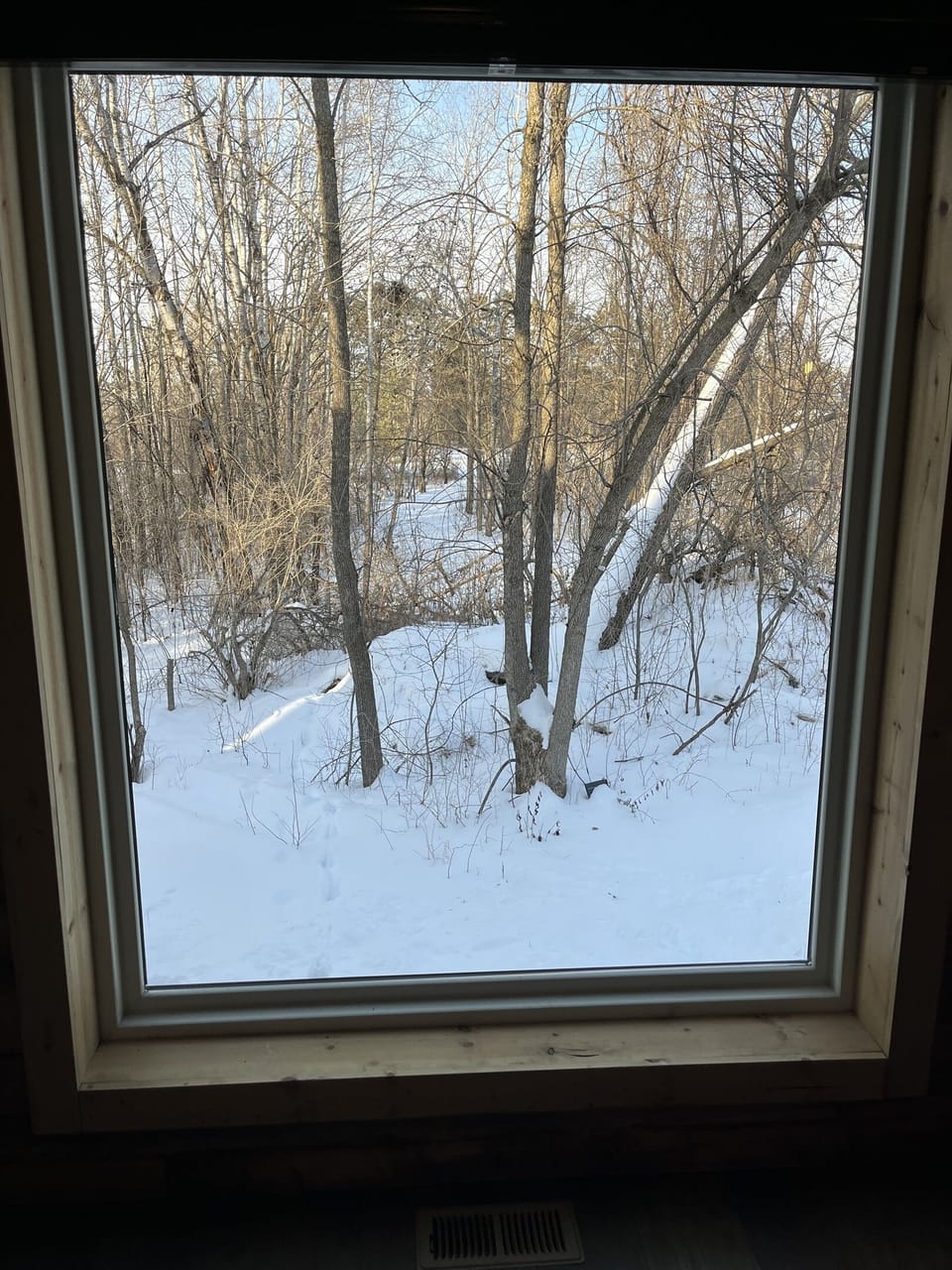 Treehouse in the Bay: A window view from the 2nd bedroom