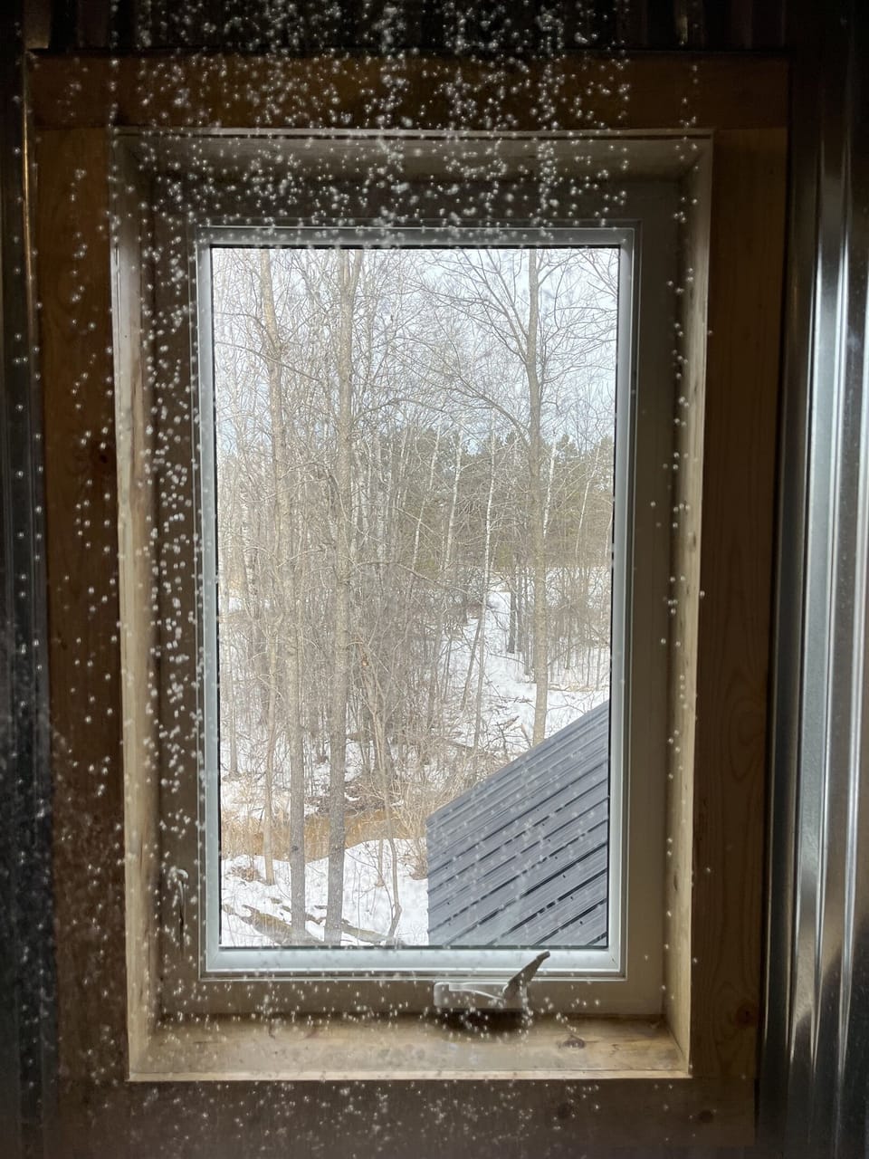 Treehouse in the Bay: Views from the rain shower in the loft bathroom