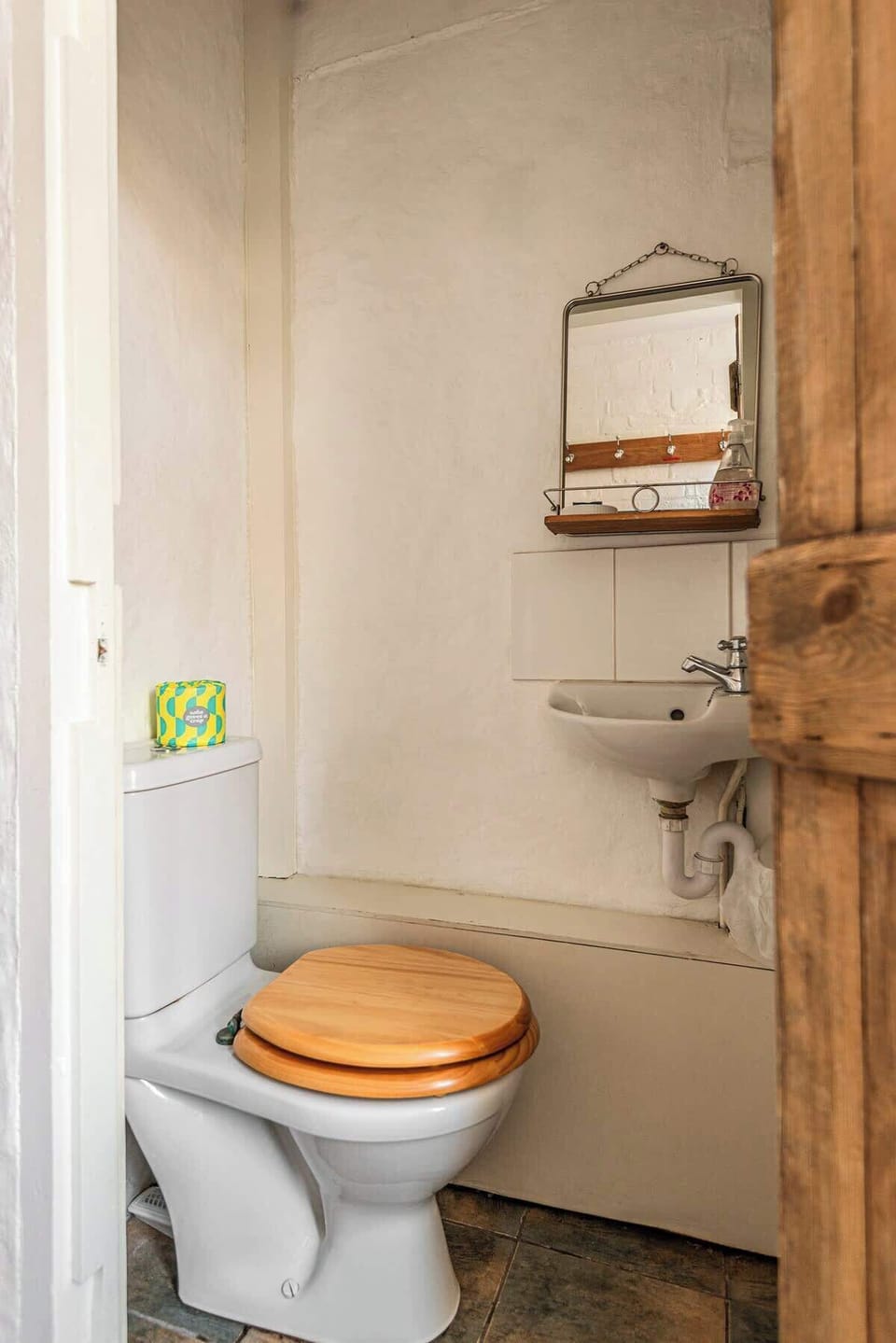58 Belview Rd Backdoor Outside Toilet 6268