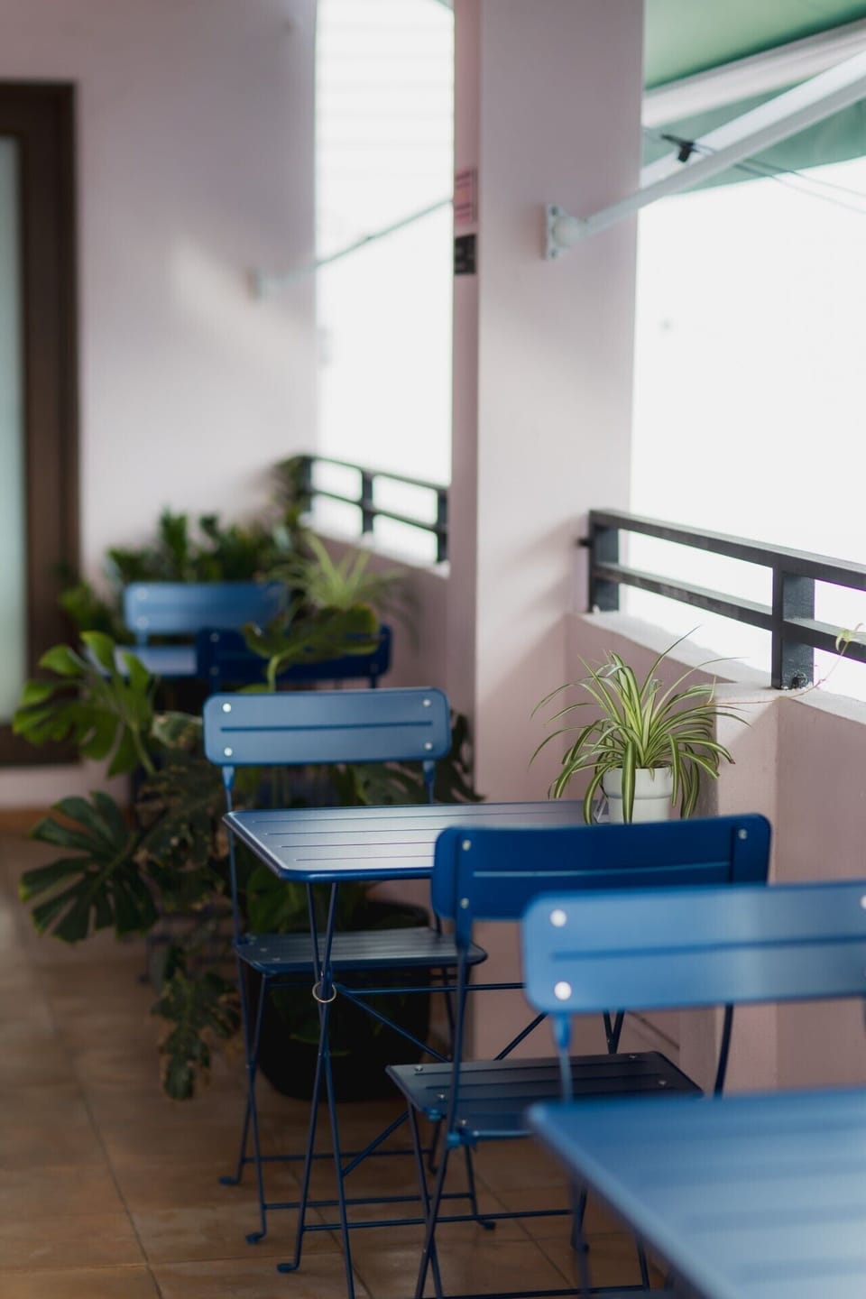 Shared Dinning Area