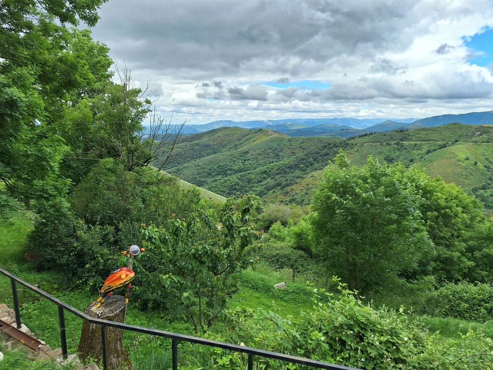 View from property
