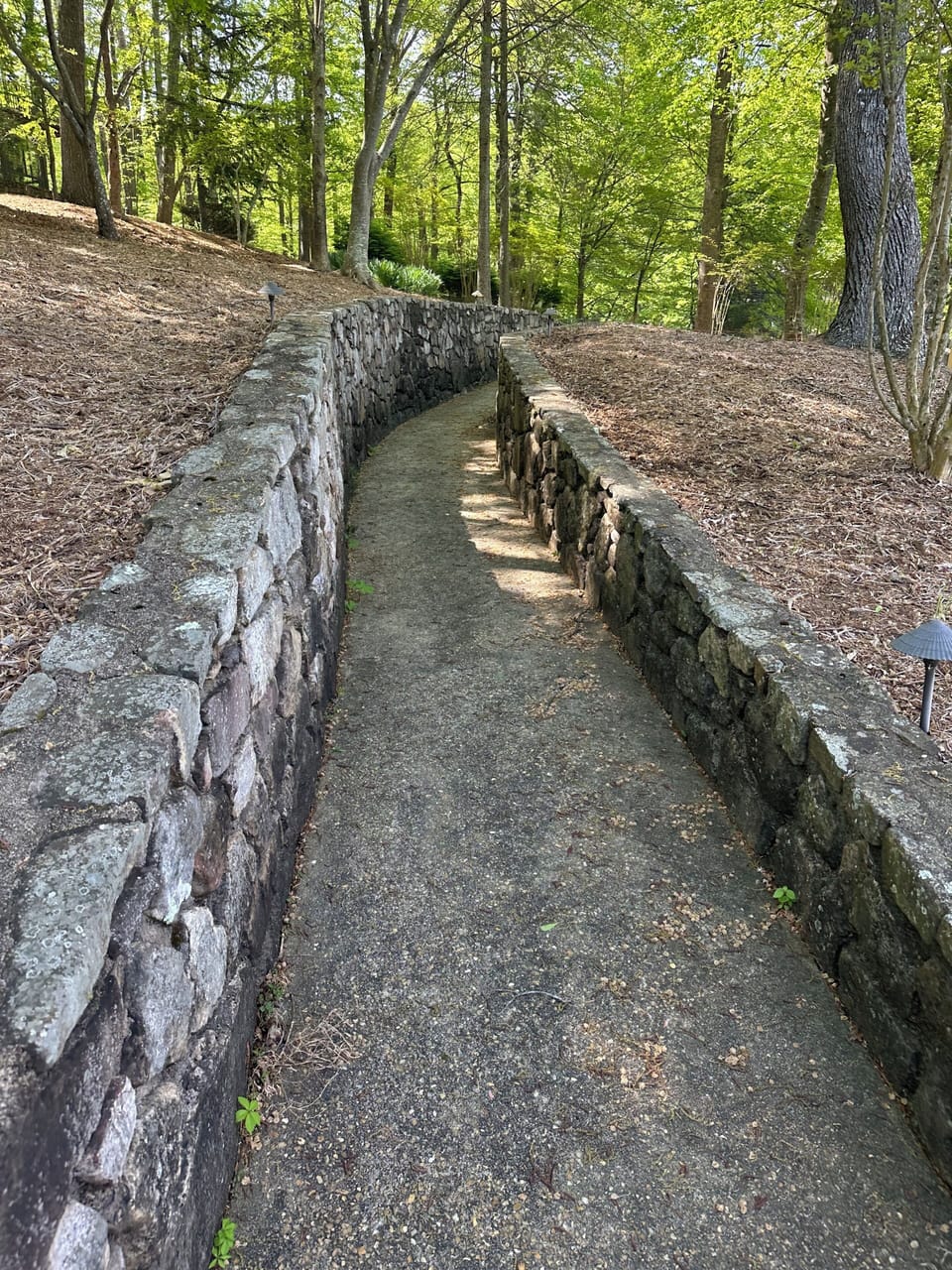 Lighted pathway from house to dock