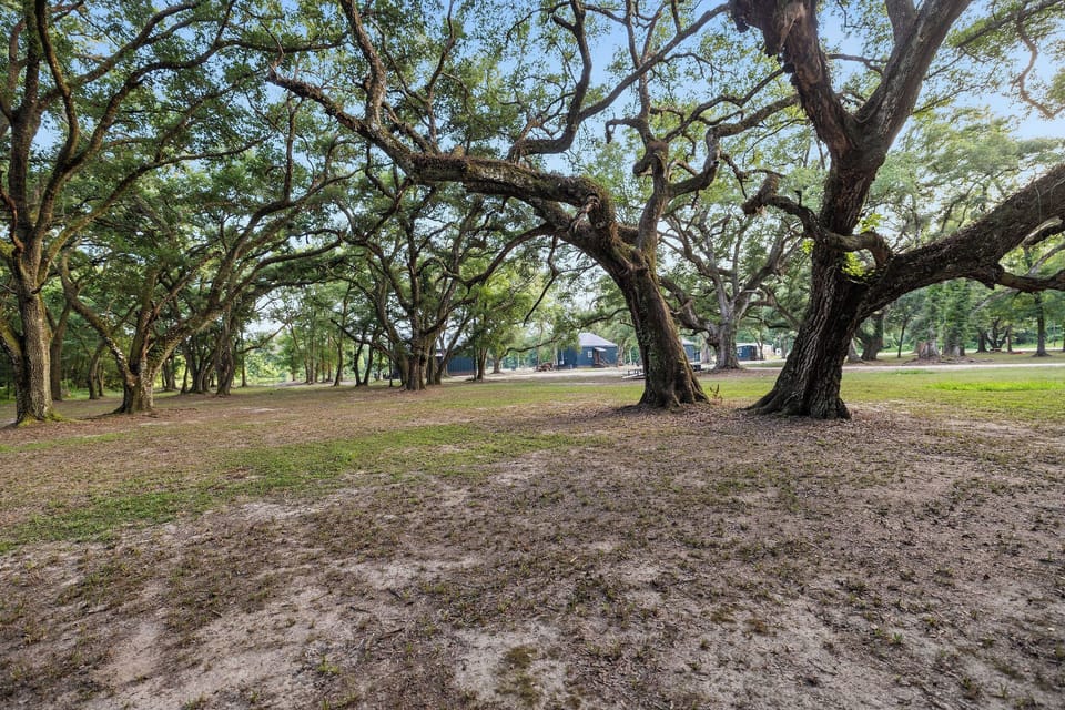 Live Oak Park