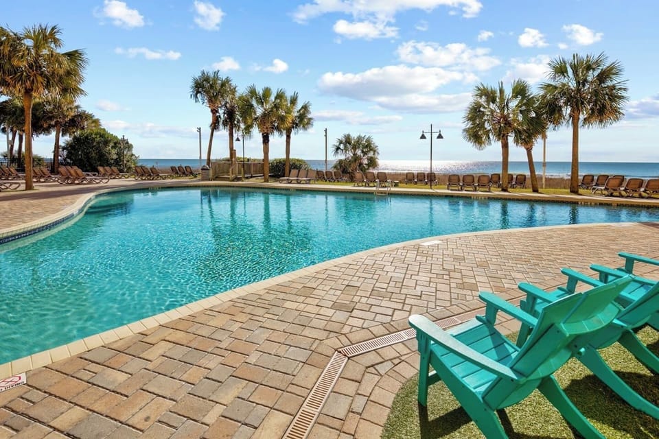 The heated outdoor pool — palm trees, ocean just beyond, and a vacation vibe that never quits.
