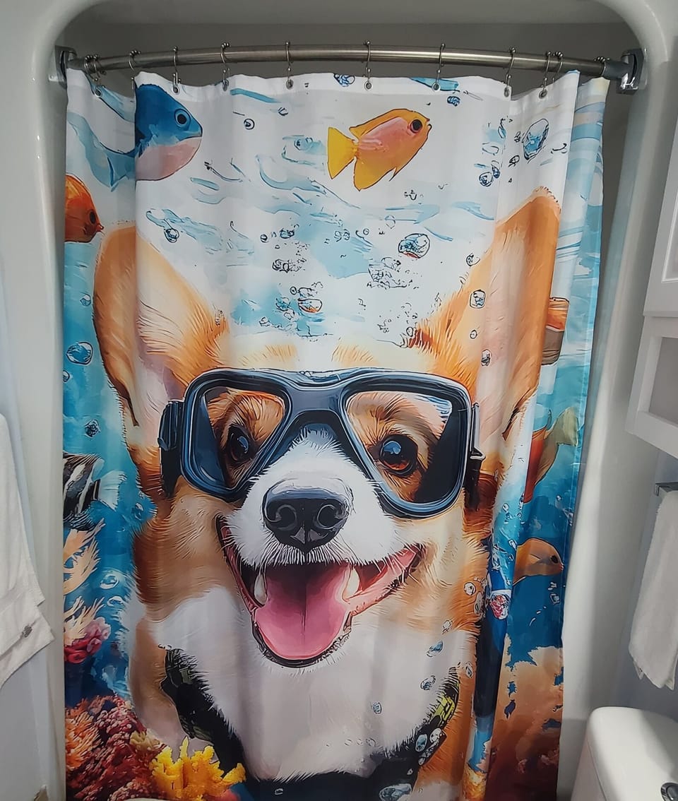 Even the bathroom has personality. The dog shower curtain sets the tone.