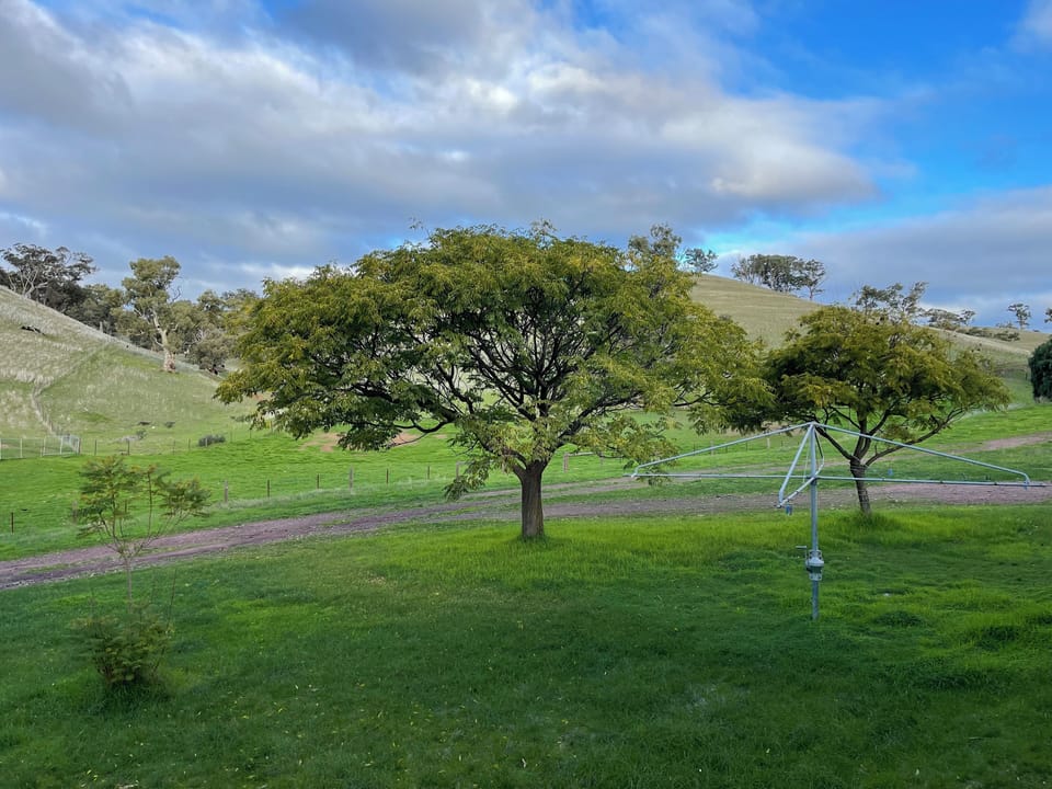 View from the back verandah