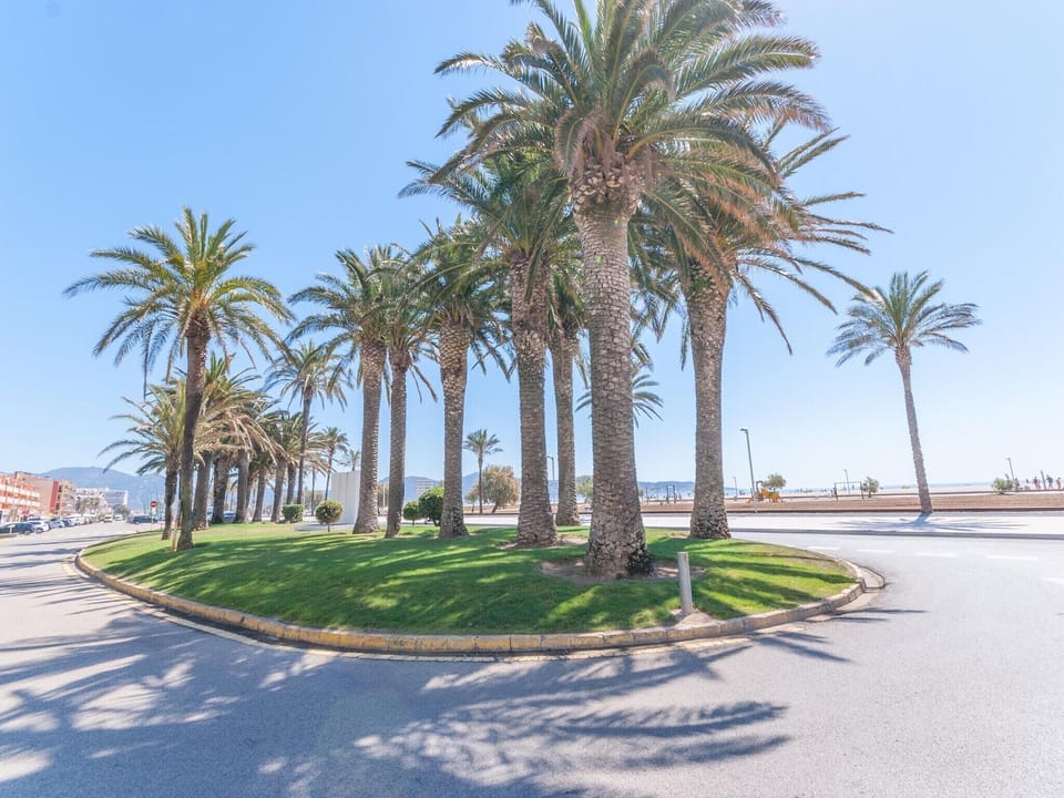 Immediate Surroundings [summer] (<1 km)