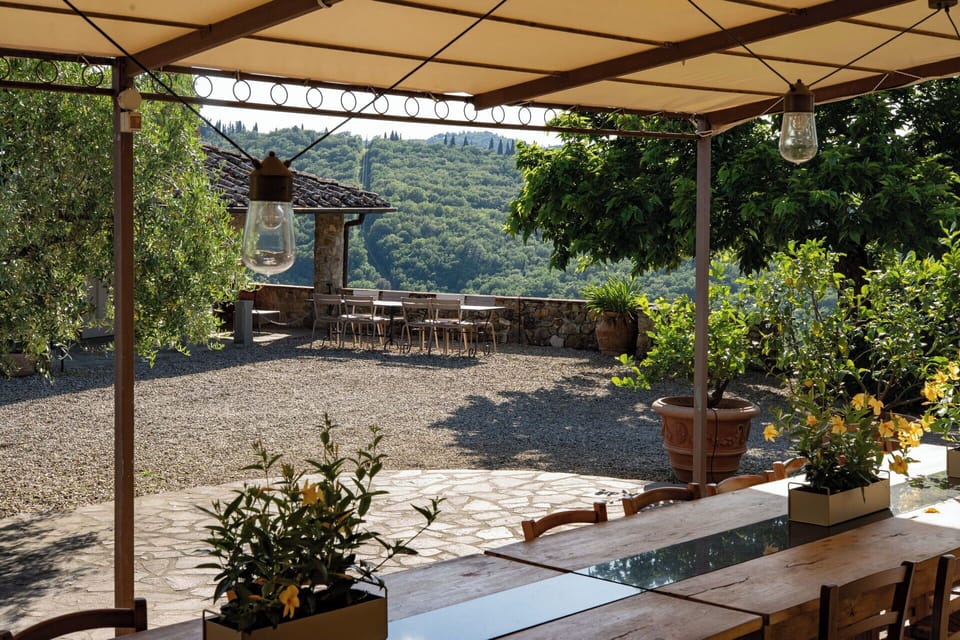 Autumn, Balcony / Terrace / Patio, Garden, Outdoor, Spring, Summer