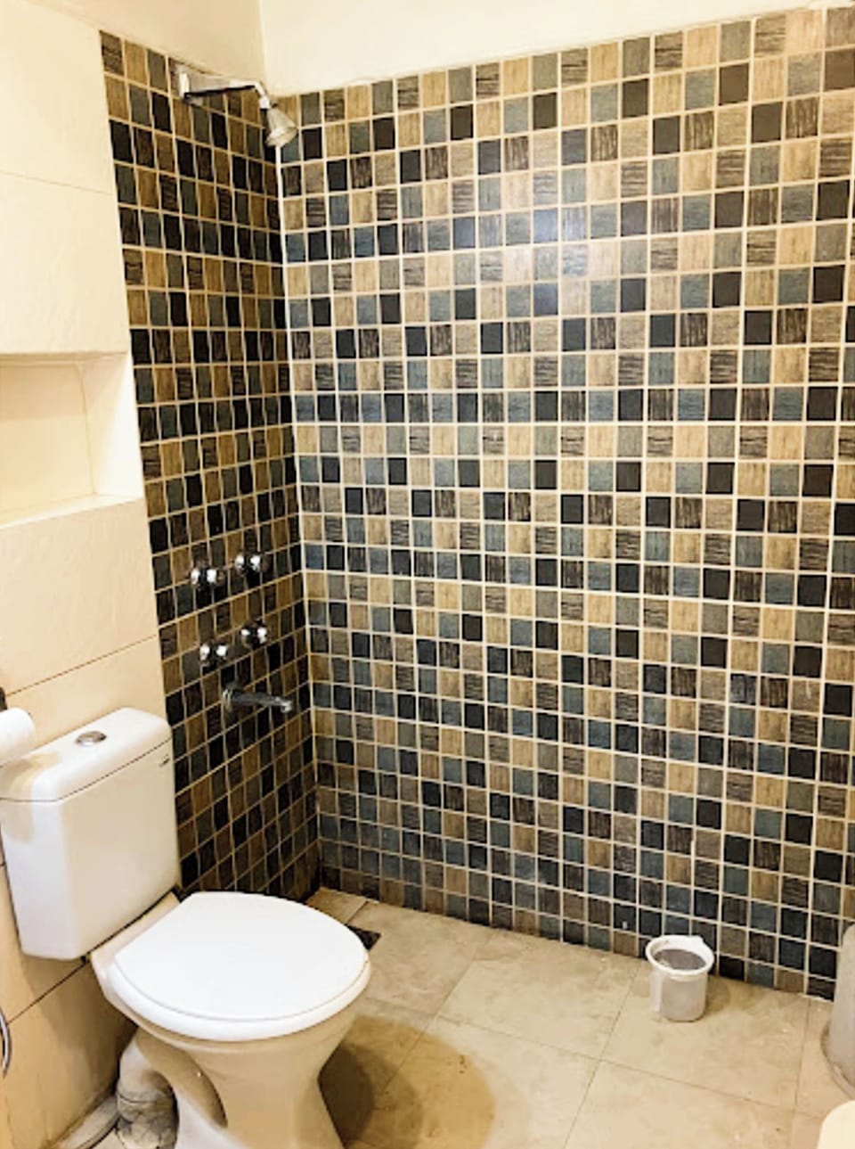 Deluxe Double Room | Bathroom | Shower, free toiletries, slippers, towels