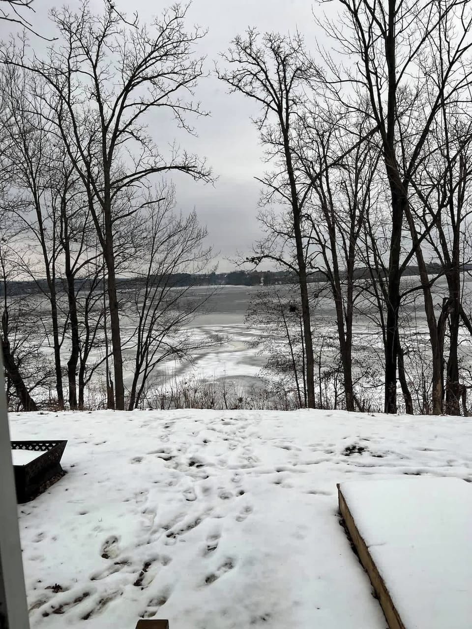 Winter back yard view