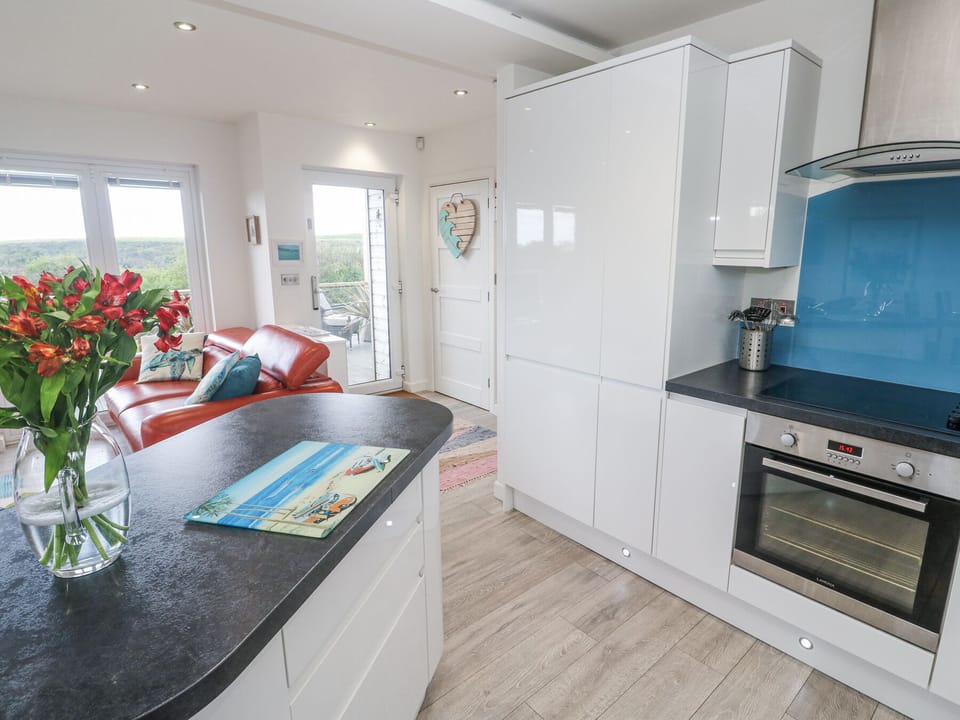 Fridge, microwave, dishwasher, toaster