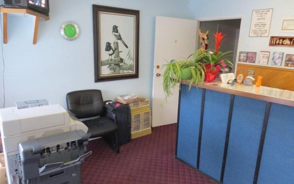 Reception