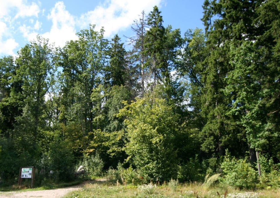 Nature walks and wildlife await you at Tammisto Nature Reserve, only 17 minutes away—who needs the city, right?