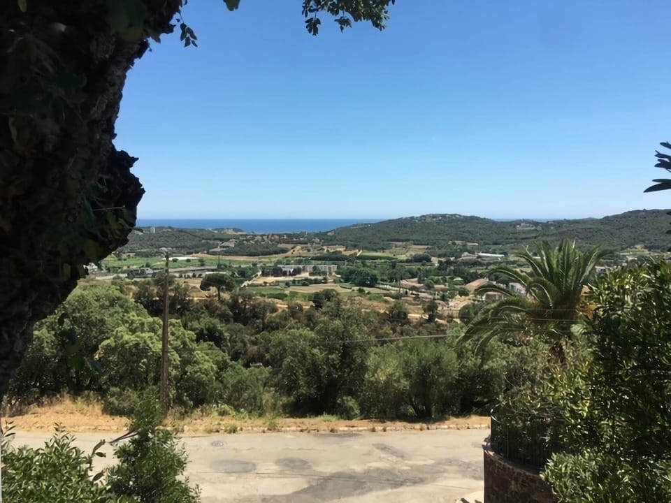 View from Holiday Home [summer]