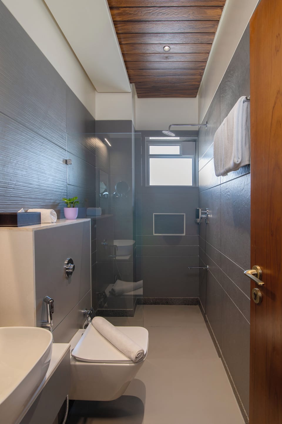Shower, hair dryer, slippers, bidet