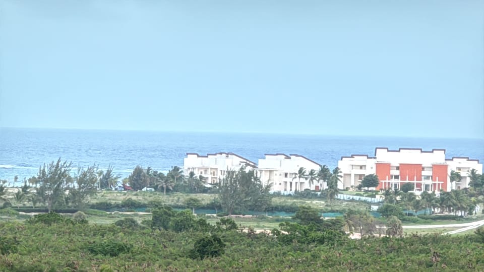Ocean view