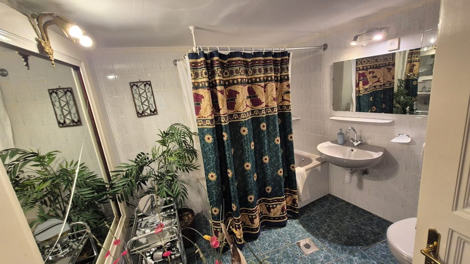 Double Room, City View | Bathroom | Shower, hair dryer, towels, soap