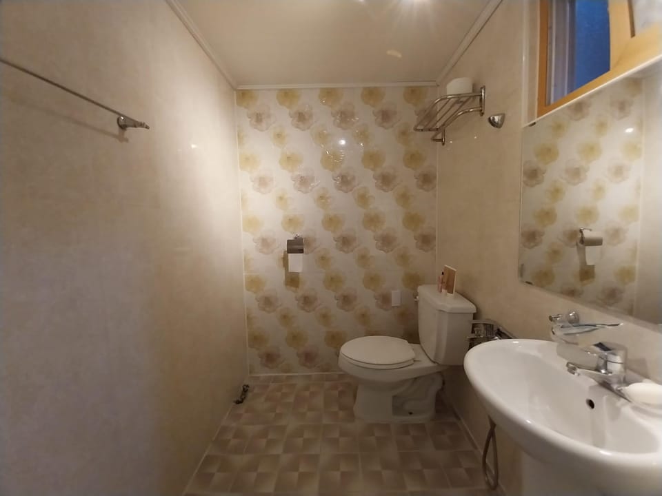 Standard Double Room | Bathroom | Shower, free toiletries, hair dryer, towels