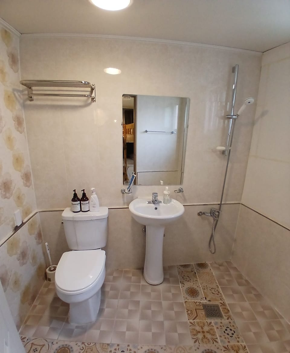 Shower, free toiletries, hair dryer, towels