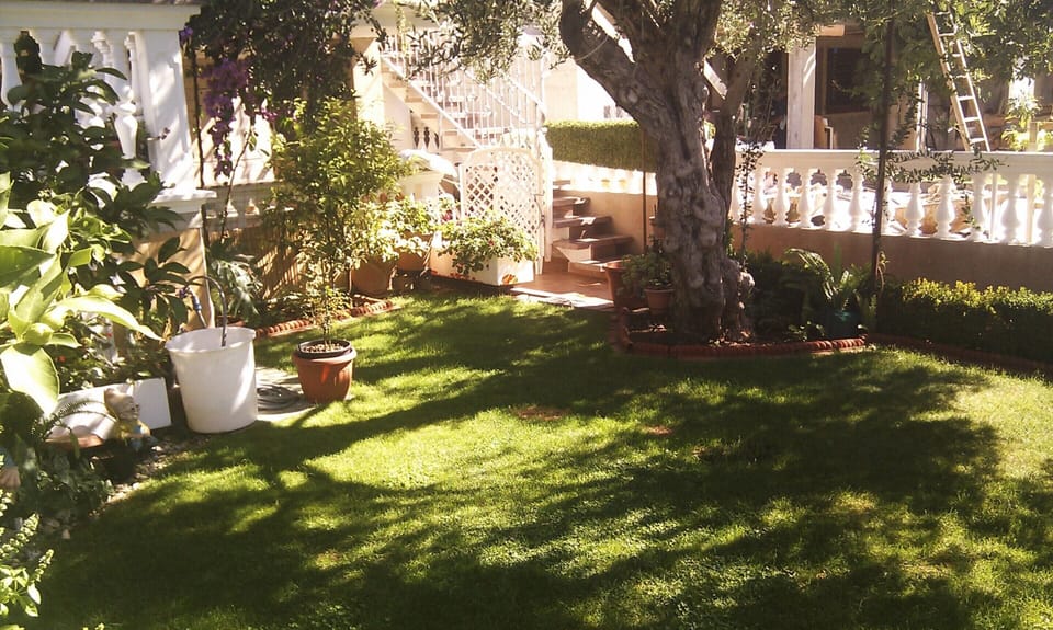 Apartment | Garden