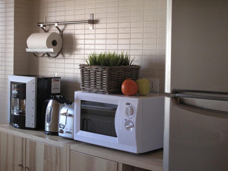 Shared fridge, microwave, stovetop, electric kettle