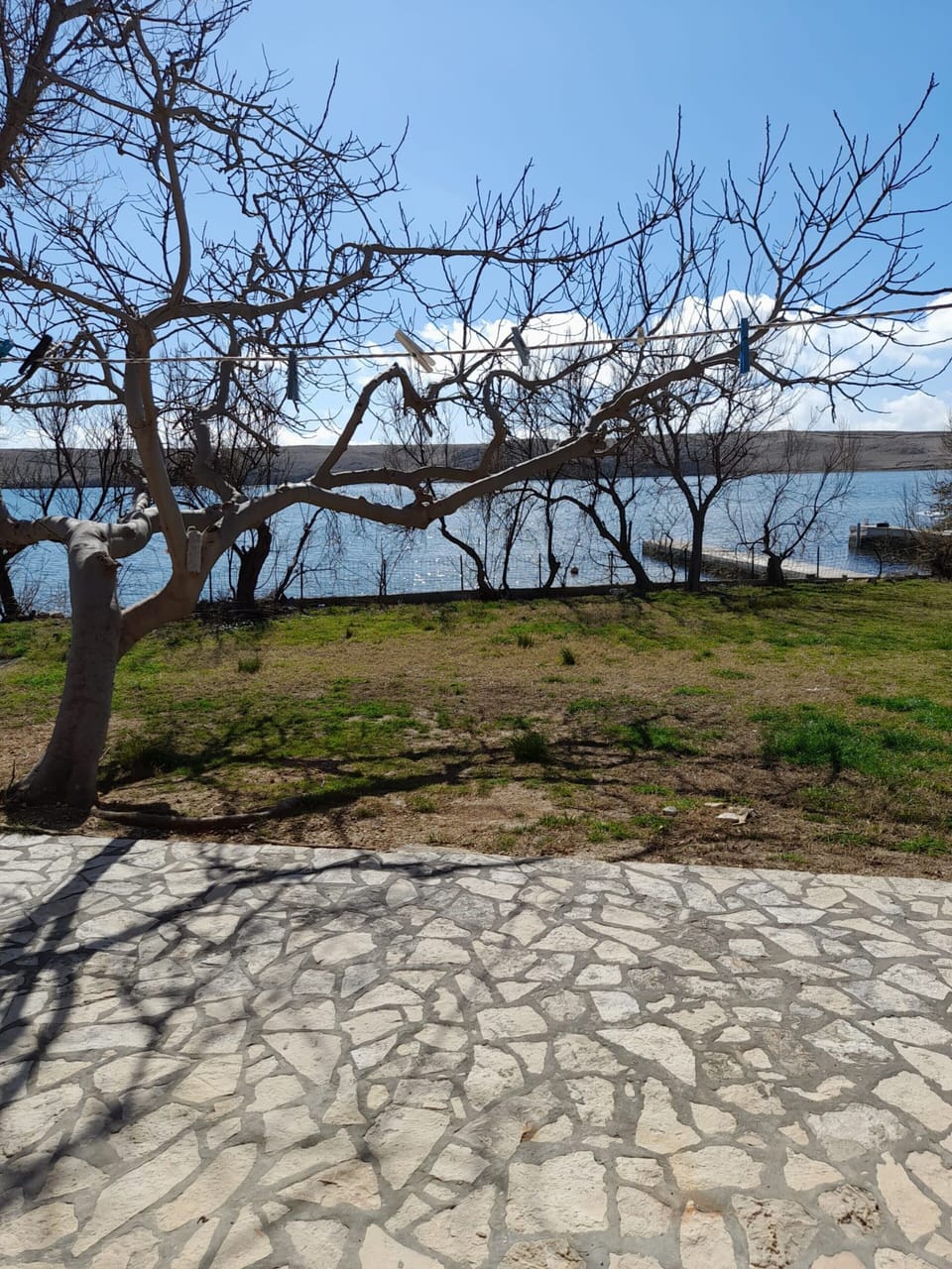 Apartment | Property grounds