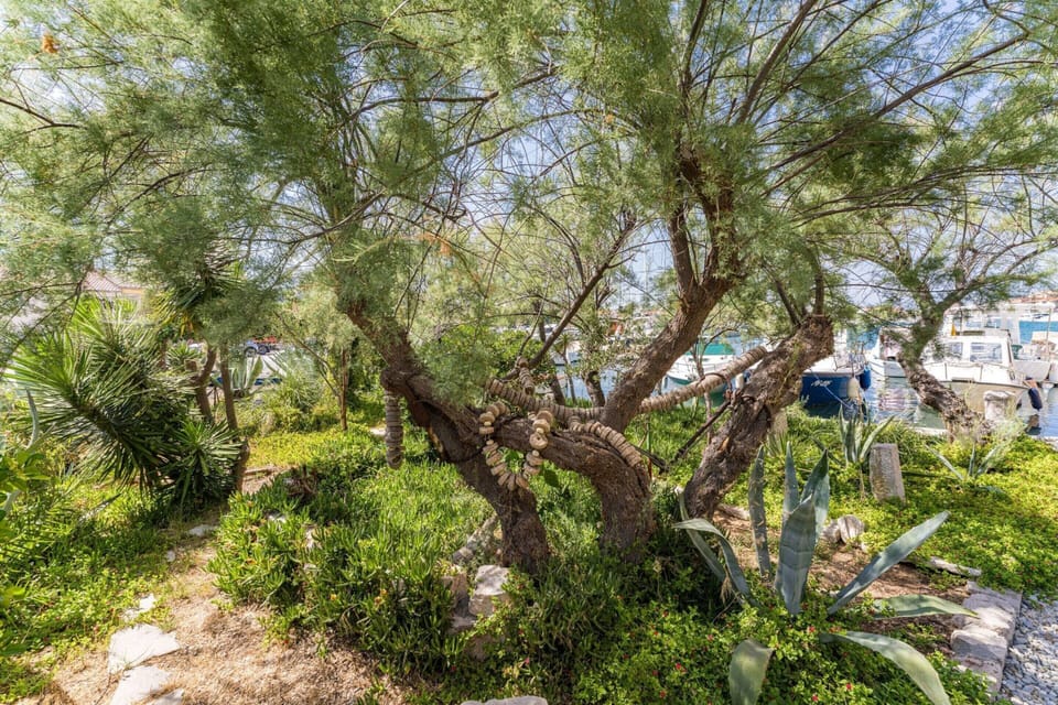 Mobile Home | Garden