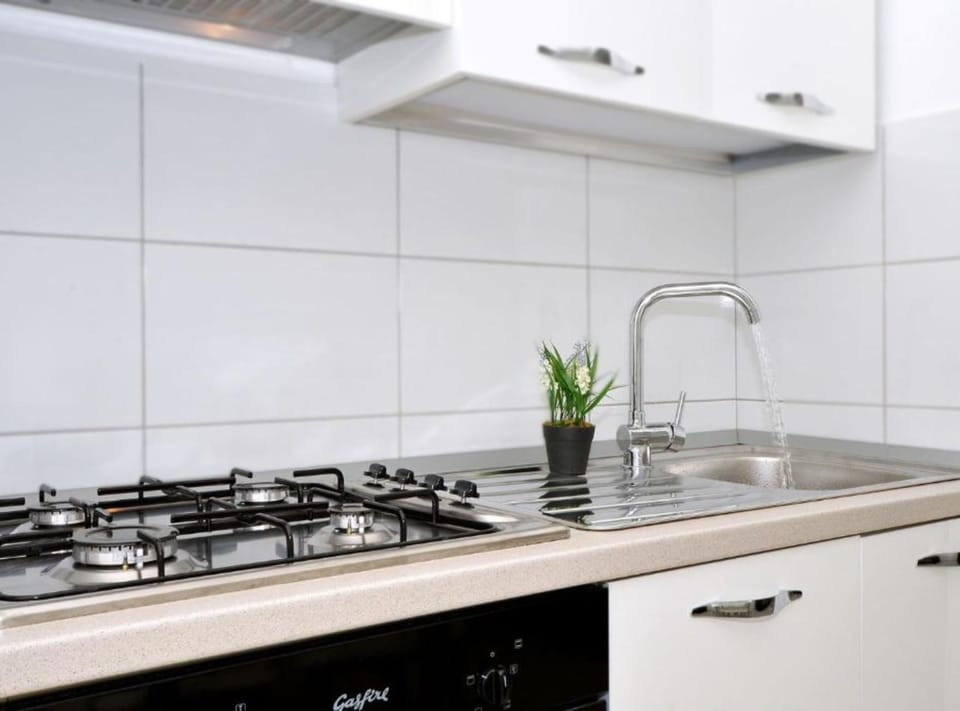House (Two Bedroom House) | Private kitchen | Fridge, cookware/dishes/utensils