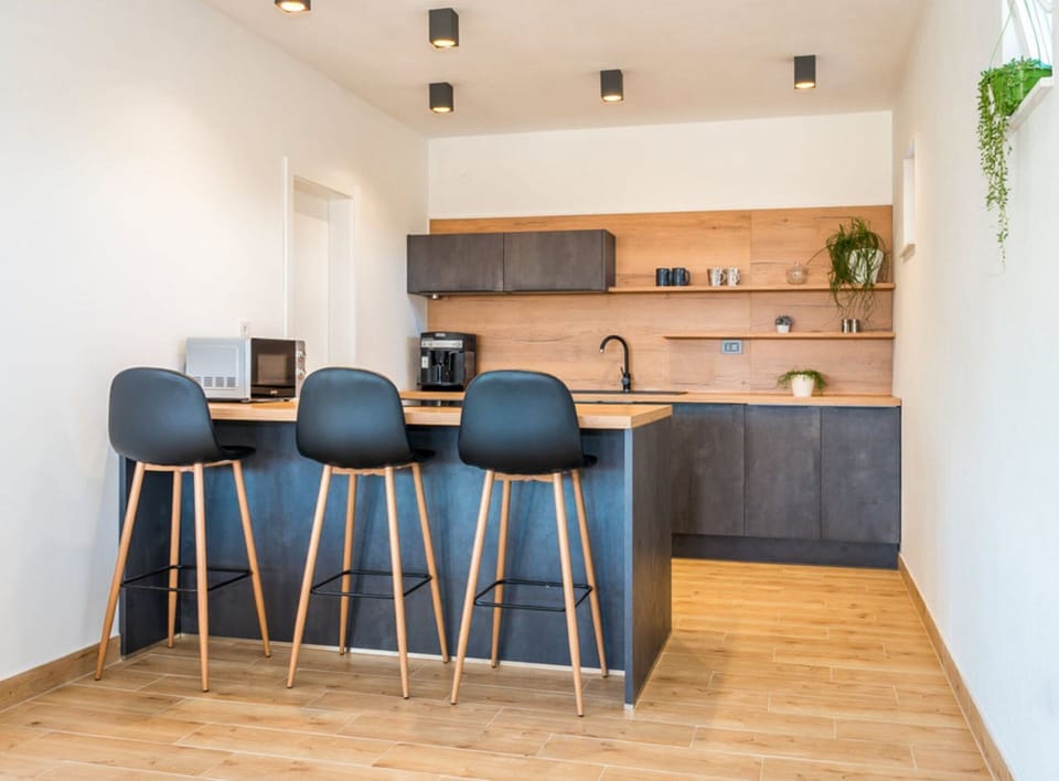 Villa (Villa Tomić Drniš - Siverić) | Private kitchen | Fridge