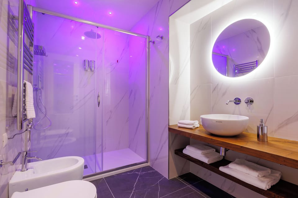 Deluxe Double Room | Bathroom | Shower, hair dryer, bidet, towels