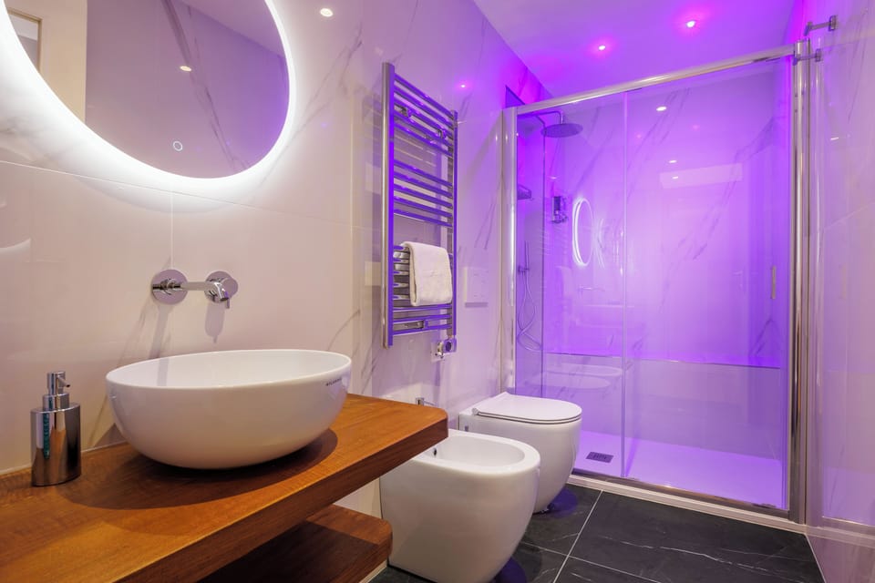 Shower, hair dryer, bidet, towels