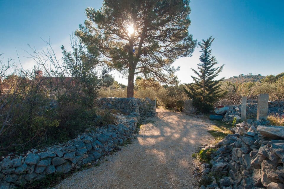 Apartment | View from property