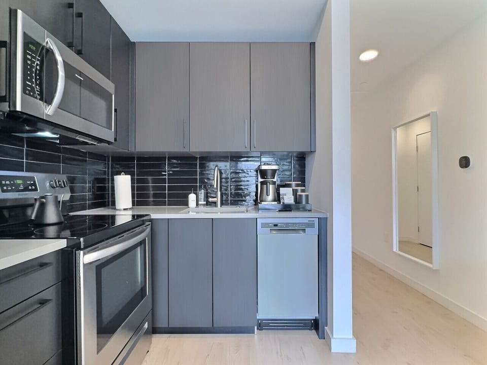 Fully equipped modern kitchen featuring stainless appliances in a furnished apartment.