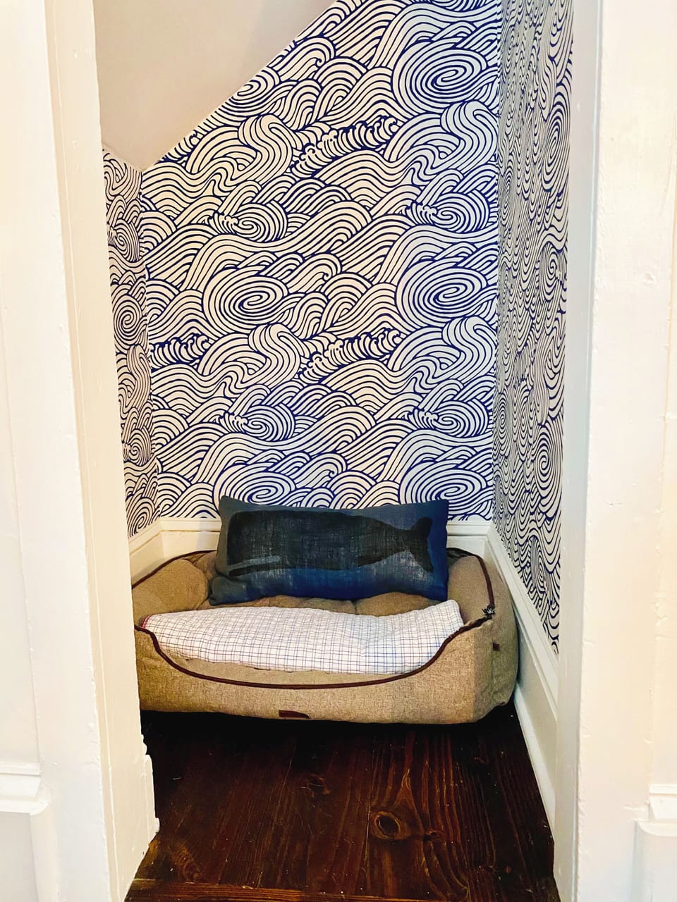 dog's bedroom
