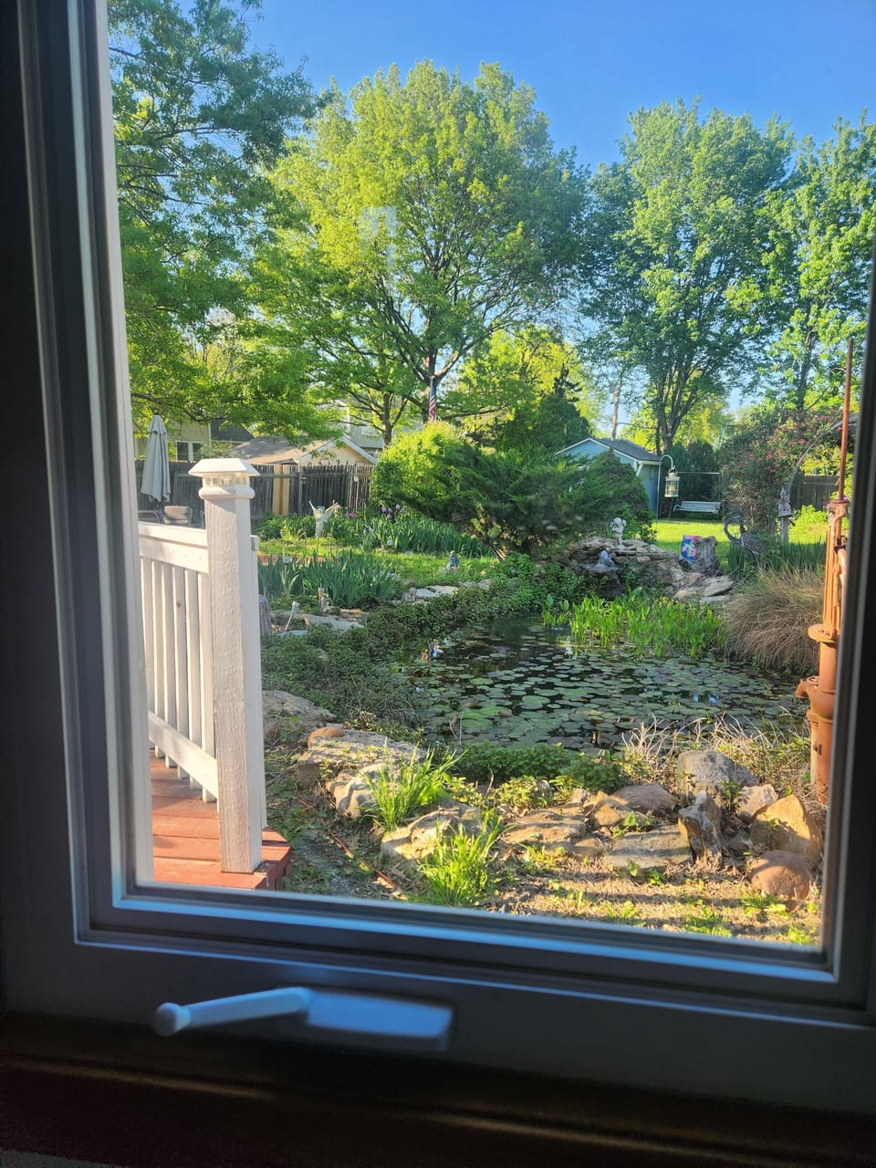View of Pond from Living Room